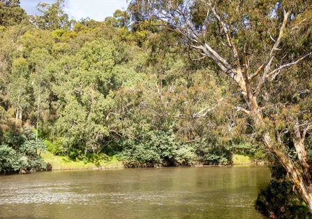 looking over calm water in the Yarra River on a su